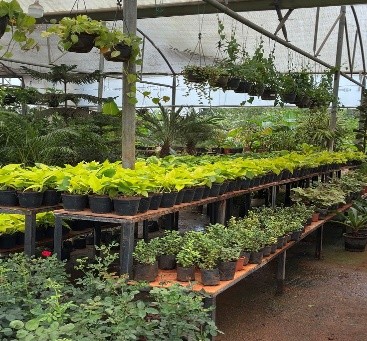 Nursery & Plant Supply
